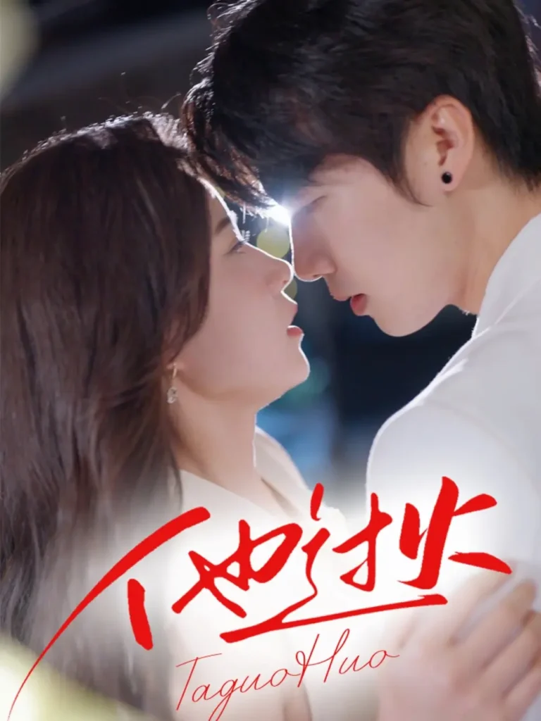 《他过火》全集高清完整版在线观看与剧情解析