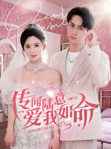 传闻陆总爱我如命