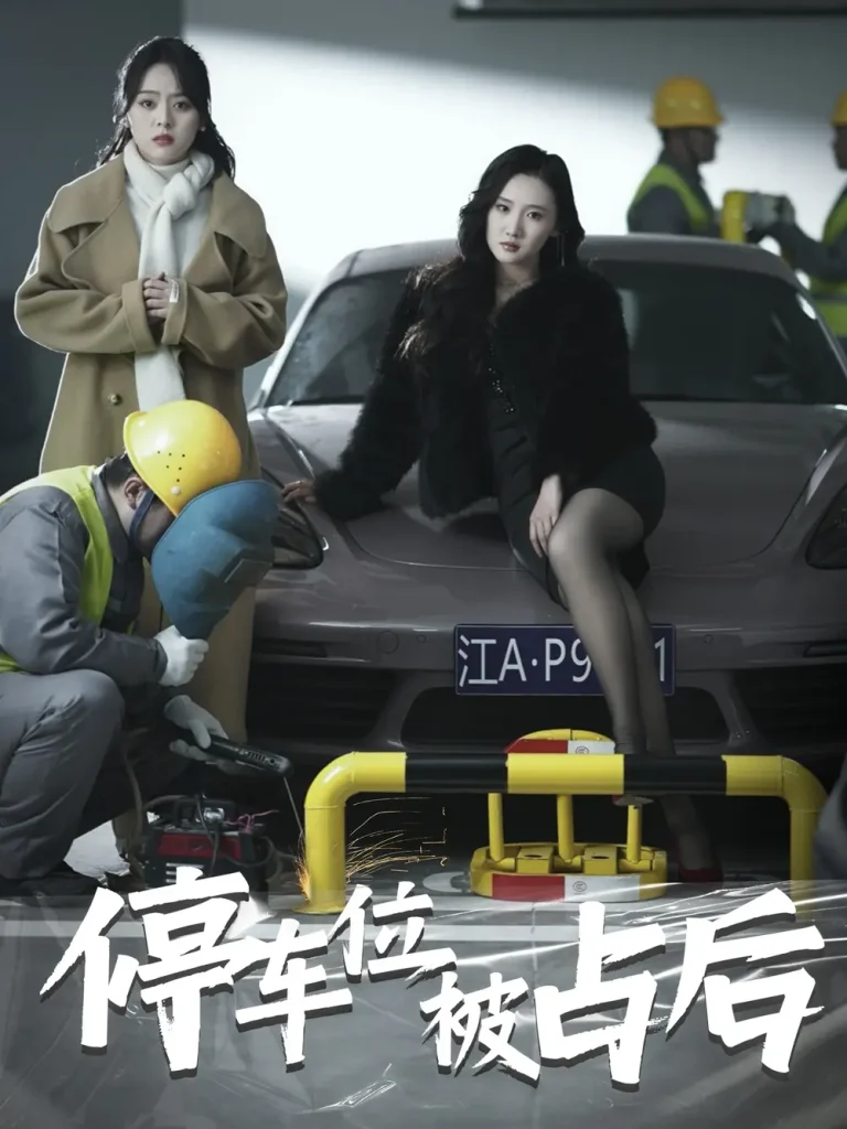 《停车位被占后》全集高清完整版在线观看与剧情解析