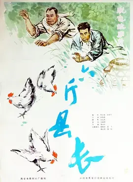 《六斤县长》全集高清完整版在线观看与剧情解析