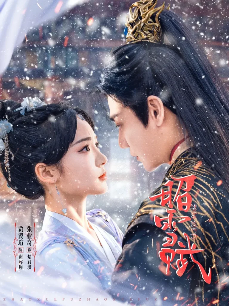 《昭雪赋》全集高清完整版在线观看与剧情解析