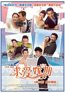 《求爱嫁期》全集高清完整版在线观看与剧情解析