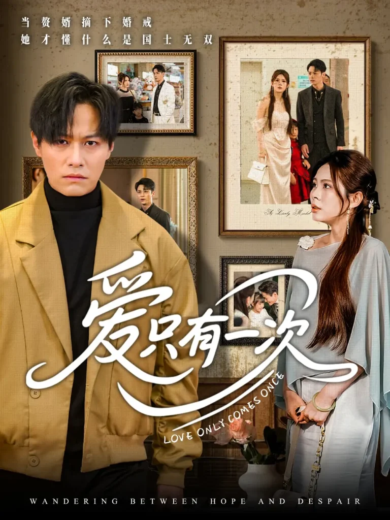 《爱只有一次》全集高清完整版在线观看与剧情解析
