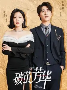 《破茧芳华》全集高清完整版在线观看与剧情解析