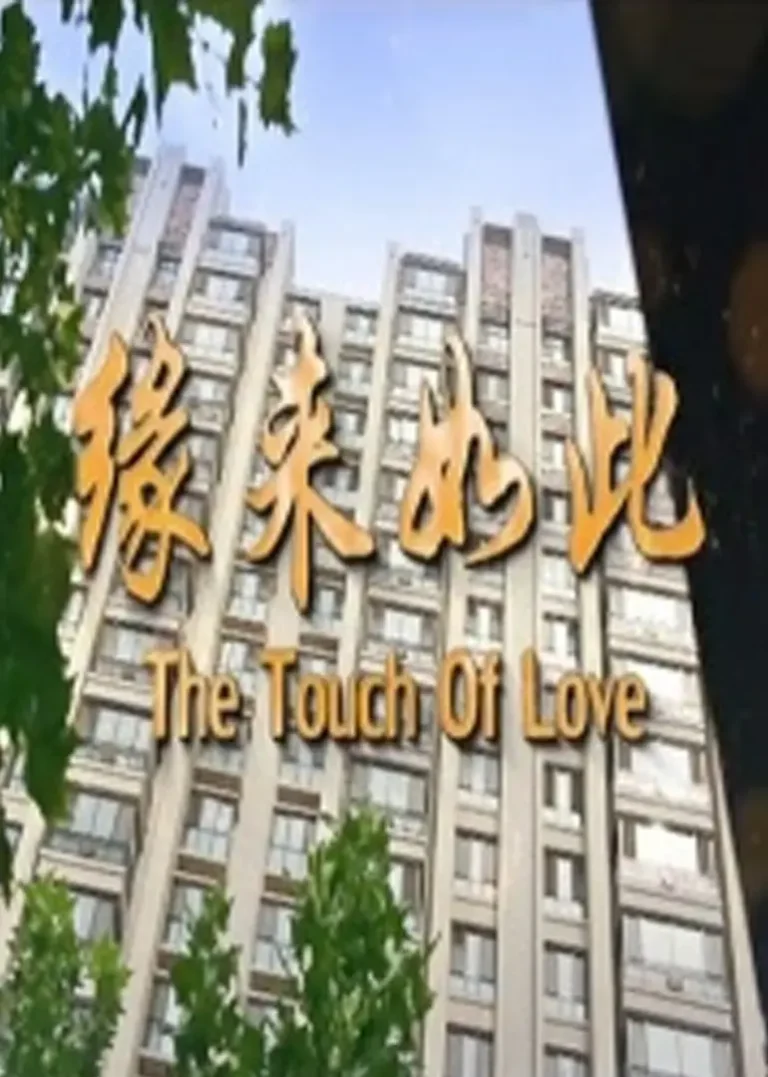 《缘来如此》全集高清完整版在线观看与剧情解析