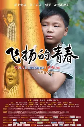 《飞扬的青春2012》全集高清完整版在线观看与剧情解析