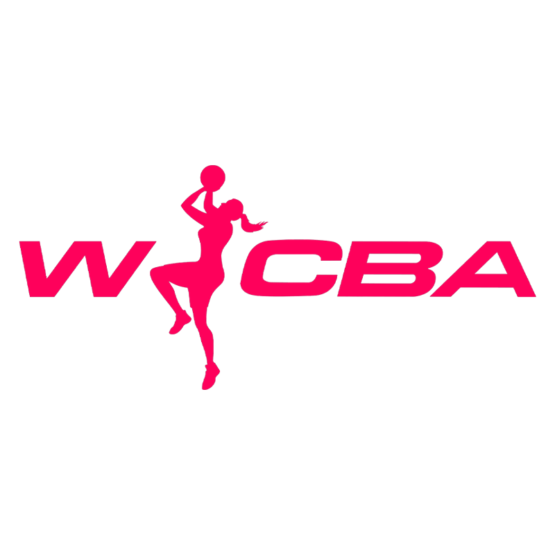 WCBA16进8决赛 山西竹叶青酒vs武汉盛帆黄鹤20250306