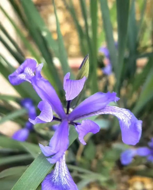 《里斯本丸沉没》纪录片全国多地包场放映，张掖影迷自发组织观影 资讯配图