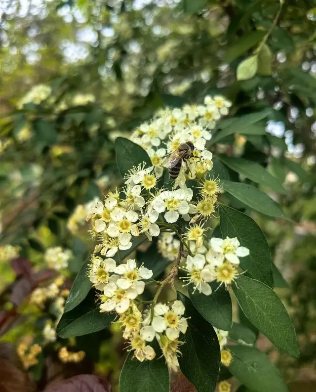 《里斯本丸沉没》纪录片全国多地包场放映，张掖影迷自发组织观影 现场图